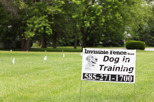 invisible pet fences