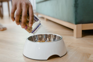 dog food